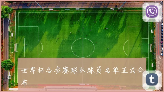 世界杯各参赛球队球员名单正式公布