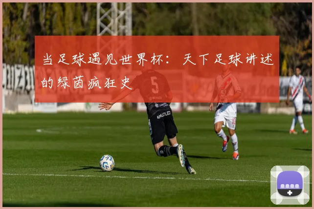 当足球遇见世界杯:天下足球讲述的绿茵疯狂史
