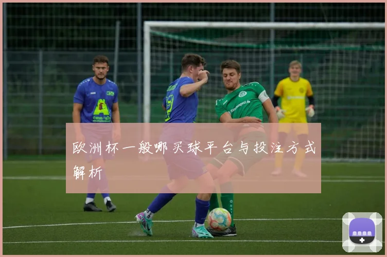 欧洲杯一般哪买球平台与投注方式解析