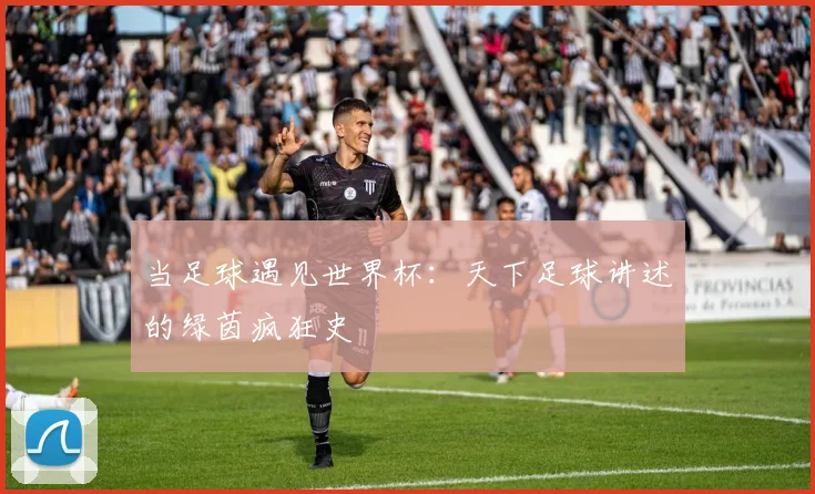 当足球遇见世界杯：天下足球讲述的绿茵疯狂史