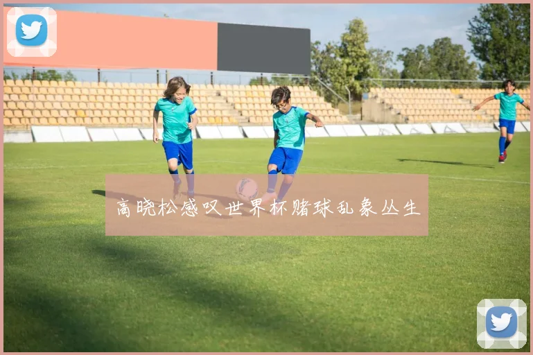 高晓松感叹世界杯赌球乱象丛生