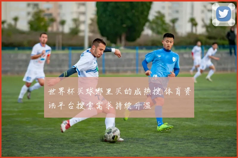 世界杯买球哪里买的成热搜 体育资讯平台搜索需求持续升温
